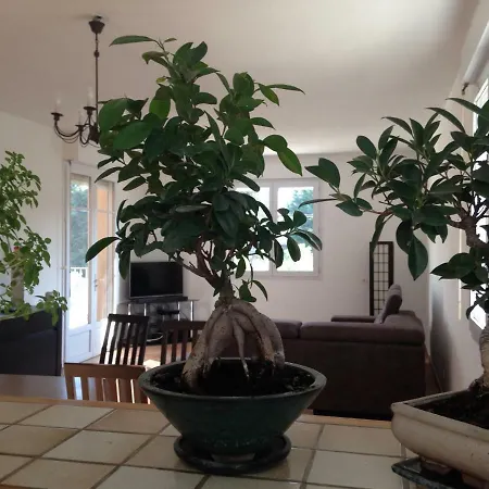 Appartement Salvaterra Sauveterre  Buitenkant foto